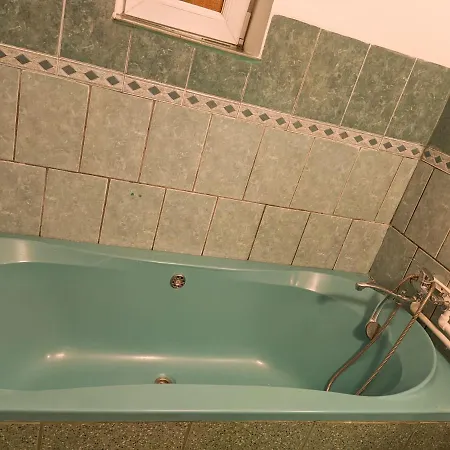 Moss's Economy Apartment Timisoara